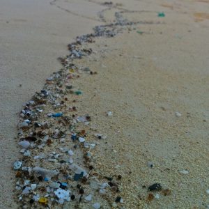 כמה פלסטיק אתם חושבים שיש באוקינוס?