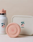 Mizu Bento Kit